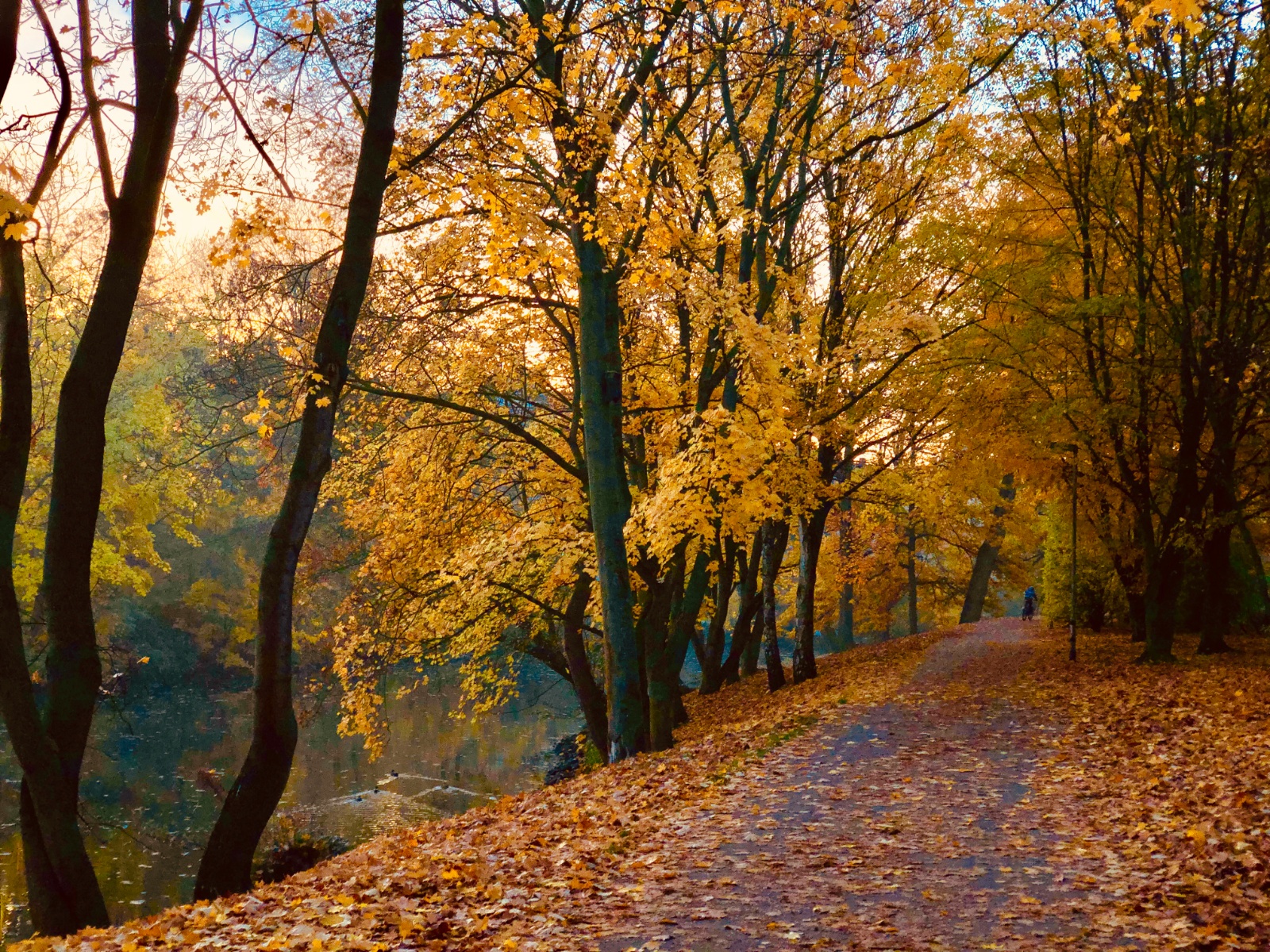 Novembermorgen theaterpark